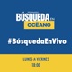 Búsqueda EN VIVO