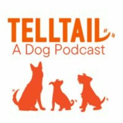 Episode 34: “Knowledge is Key”: Starting a Dog Training Business and Discussing Pitbull Misconceptions with Masina Kakese