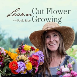 Learn Cut Flower Growing | Lessons from a seasoned farmer