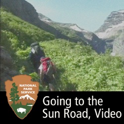 Going-to-the-Sun Road: Apgar Campground