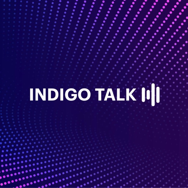 INDIGO TALK / AI 创业的差异与 Sora 的世界模拟 - EP11