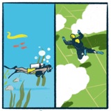 Scuba Diving vs. Skydiving