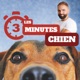 3 minutes chiens