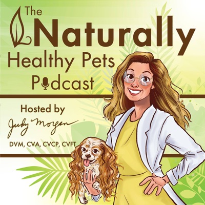 Naturally Healthy Pets Podcast:Dr. Judy Morgan