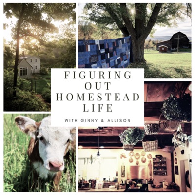 Figuring Out Homestead Life Figuring Out Homestead Life