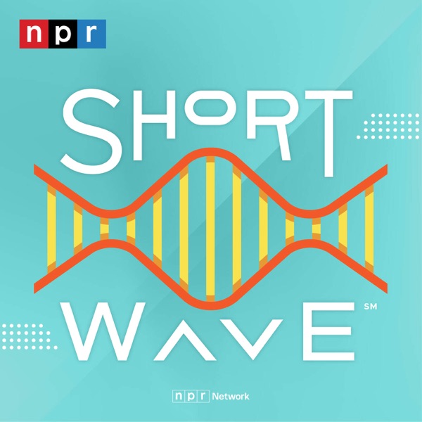 Short Wave image