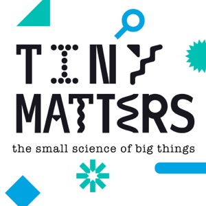 Tiny Matters