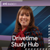 Study Hub: Leaving Cert 2024 Exam Tips - RTÉ Radio 1