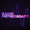Radio Motherboard - VICE