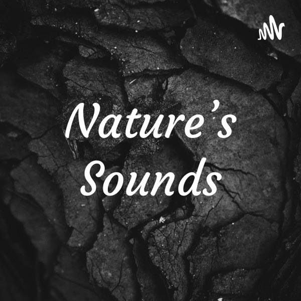 Nature's Sounds