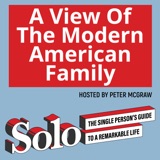 A View Of The Modern American Family