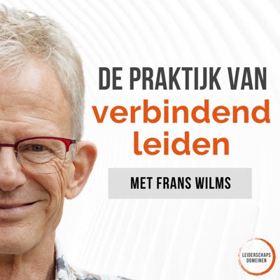 De Praktijk van Verbindend Leiden van Leiderschapsdomeinen