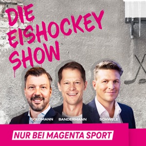 Die Eishockey Show