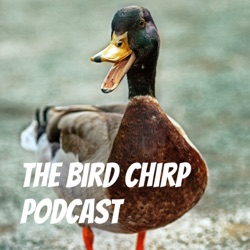 The Bird Chirp Podcast