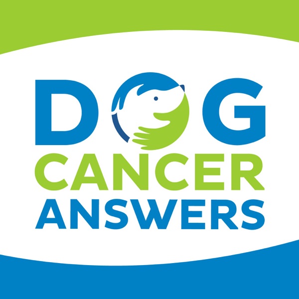 Easy Ways to Improve Quality of Life for Dogs with Cancer | Kate Basedow photo