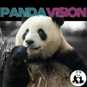 PandaVision