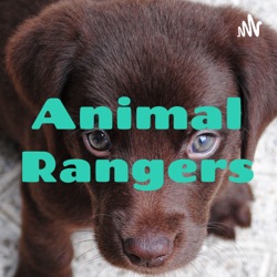 Animal Rangers