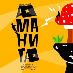 Эпизод 7. Как стать миллионером за час