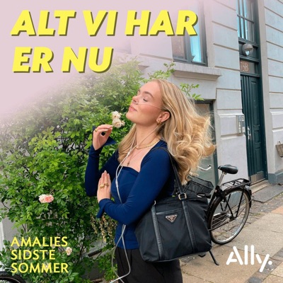 Alt vi har er nu