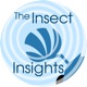 The Insect Insights podcast