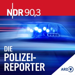 Die Polizeireporter: Nachts um halb eins auf der Reeperbahn