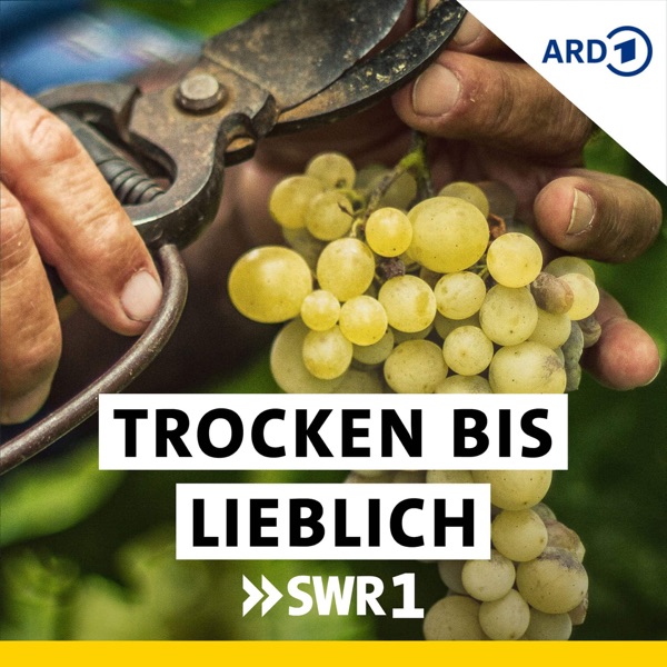 Trocken bis lieblich – Wein-Wissen für alle