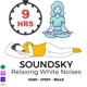 121. Rain Sound On Window with Thunder Sounds and Crickets SoundsㅣHeavy Rain for Sleep | RWS, SoundSky Podcast