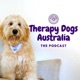 S3:E5 Decompression For Therapy Dogs With KONG (Guest: Brittany Muscat)