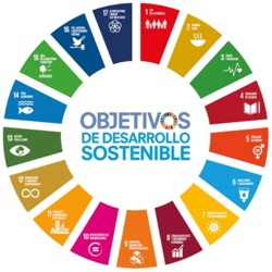 Los Objetivos De Desarrollo Sostenible 