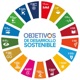 Objetivos de desarrollo sostenible: Objetivo 13 (Acciones por el clima)