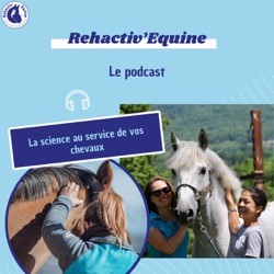 Rehactiv'Equine - La science au service de vos chevaux