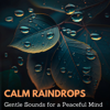 Calm Raindrops - Sol Good Network
