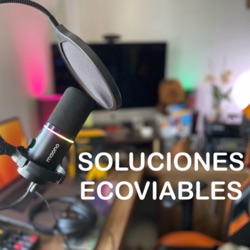Leña Nativa o Exótico: El Nuevo PDA de Temuco y Padre las Casas en Soluciones Ecoviables 🏡