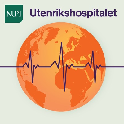 Utenrikshospitalet:NUPI