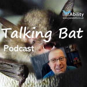 Talking Bat