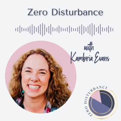 Zero Disturbance Zero Disturbance