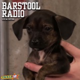 Adorable Puppies Derail Our Recap of Lies and Backstabbing in Surviving Barstool Episode 5