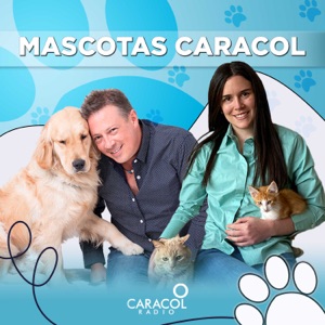 Mascotas Caracol