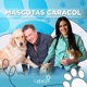 Ultima emisión de Mascotas Caracol