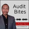 Audit Bites - Robert Berry