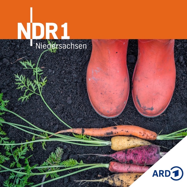 Garten: Alles Möhre, oder was?!