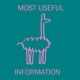 Most Useful Information: Lying Life of Adults by Elena Ferrante