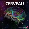 Choses à Savoir CERVEAU