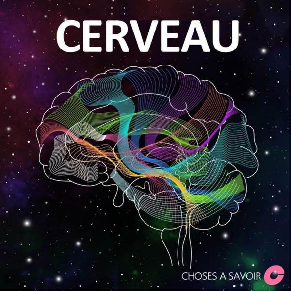 Choses à Savoir CERVEAU