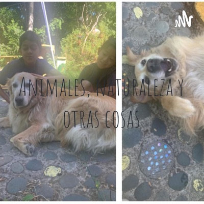 Animales, naturaleza y otras cosas Animales, naturaleza y otras cosas