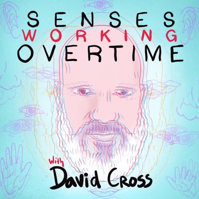 Senses Working Overtime with David Cross:Headgum