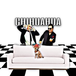 Chihuahua Comico