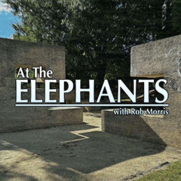 At The Elephants with Rob Morris