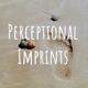 Perceptional Imprints