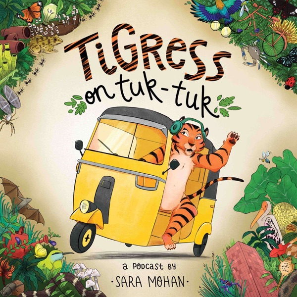 Tigress on tuk-tuk Artwork